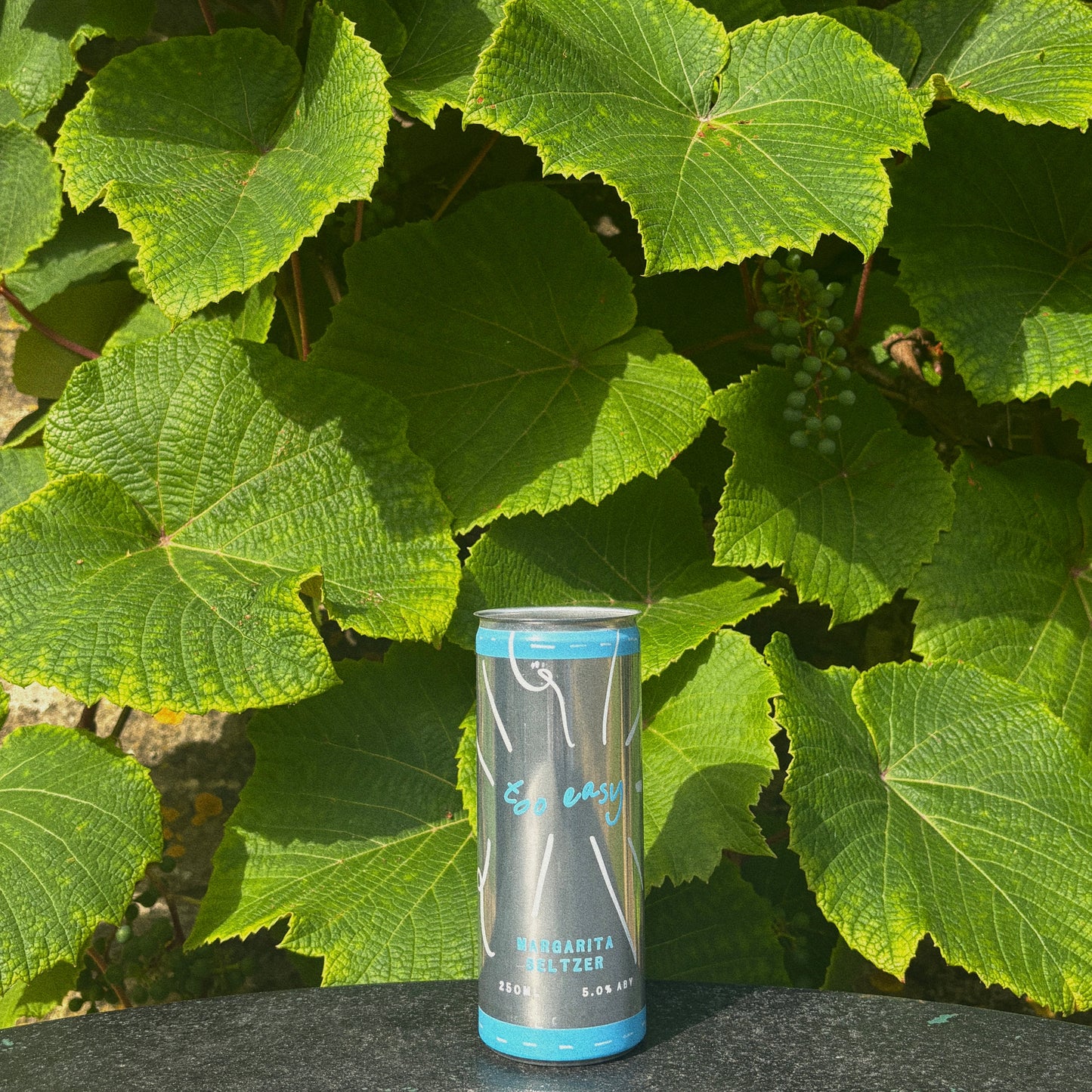 cool margarita seltzer